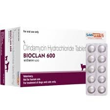 clindamycin-capsule-500x500 CLINDAMYCIN CAPSULES 600mg